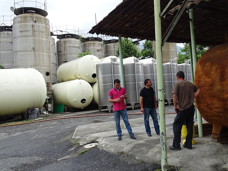 Винодельня Корпорация Киндзмараули